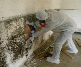 5 CÂU HỎI QUAN TRỌNG NHẤT KHI CHỐNG THẤM TƯỜNG NHÀ